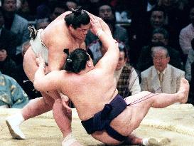 Musashigawa stable's sekiwake pair unbeaten in spring sumo